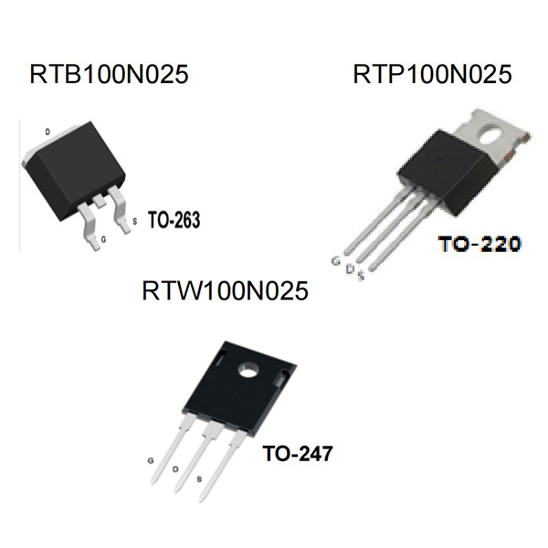 RTB_P_W100N025-rongtechsemi